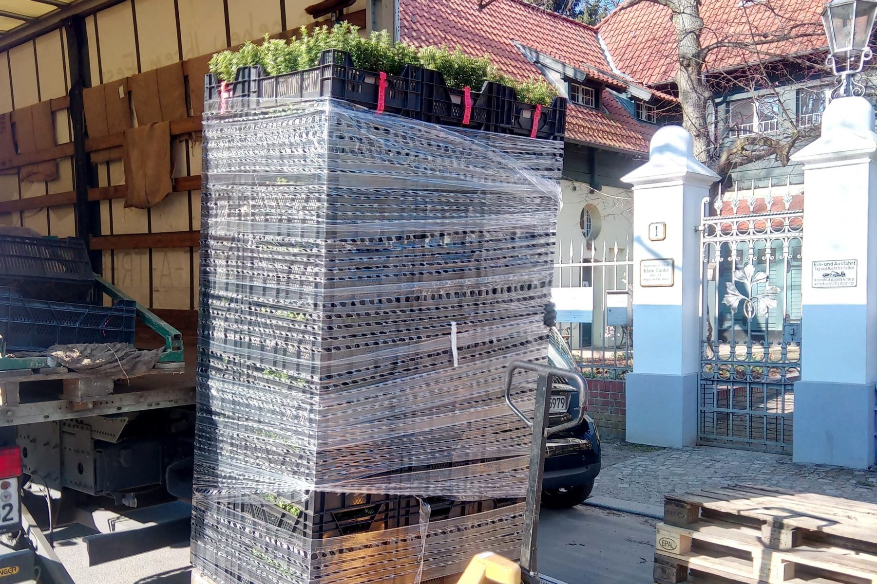 In Plastik verpackte Kartons auf einer Palette mit grünen Pflanzen in einem LKW.