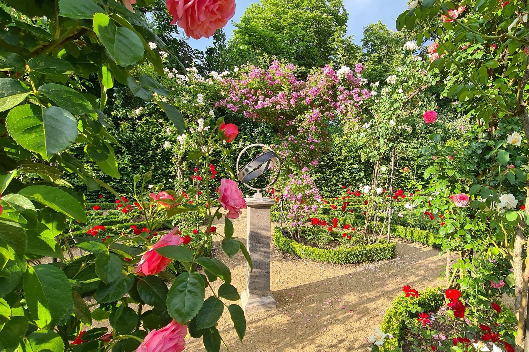 Foto des Rosengartens der Liebermann-Villa mit pinken und roten Rosen. In der Mitte des Fotos ist eine Sonnenuhr auf einem Sockel.