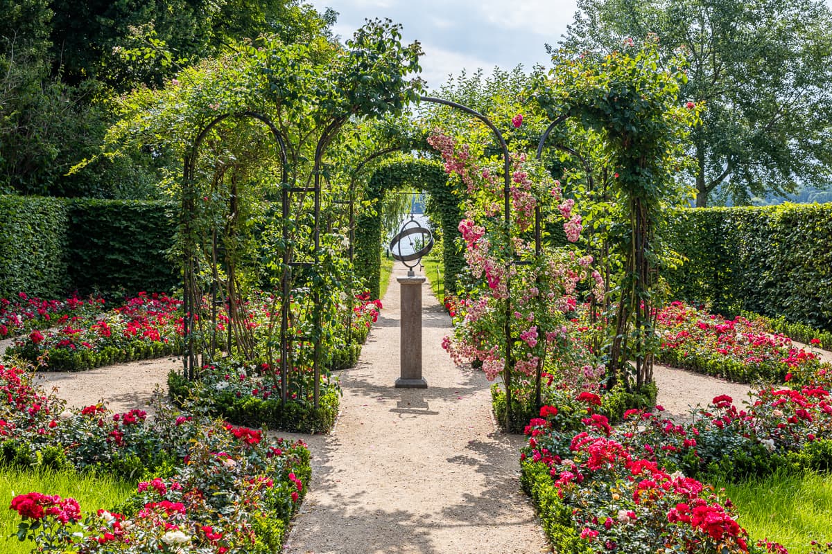 Aktuelles Foto des Rosengartens der Liebermann-Villa mit pinken, roten und weißen Roten und einer Sonnenuhr in der Mitte des Fotos