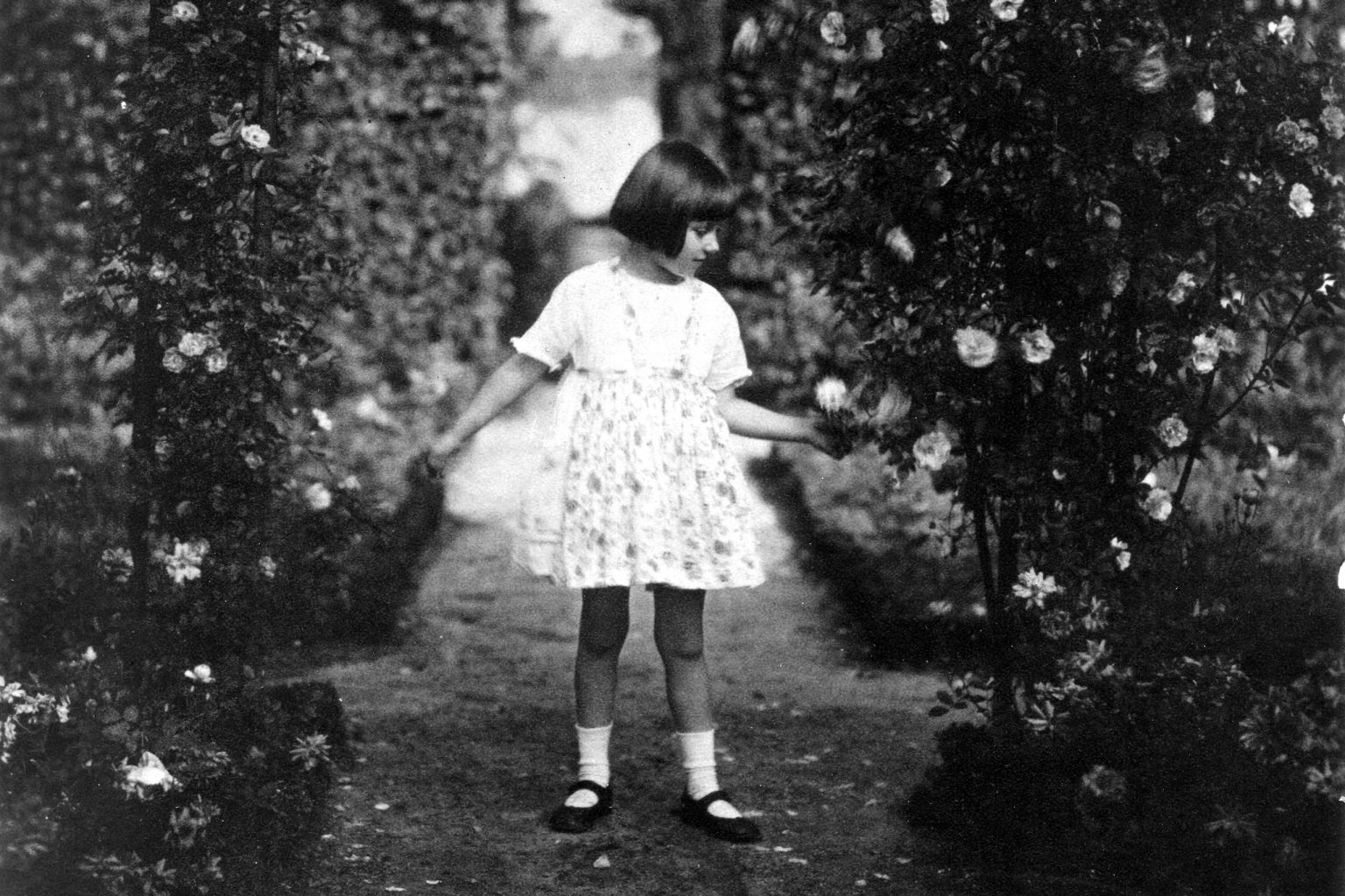 Max Liebermanns Enkelin Maria steht in einem weißen Kleid inmitten der Rosengärten. Der Blick reicht bis zum dahinter liegenden Wannsee.